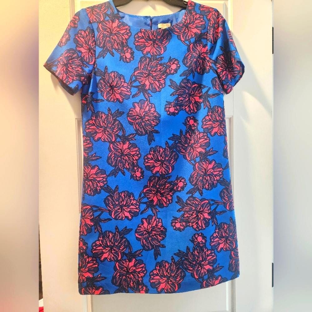 JCrew Dress
